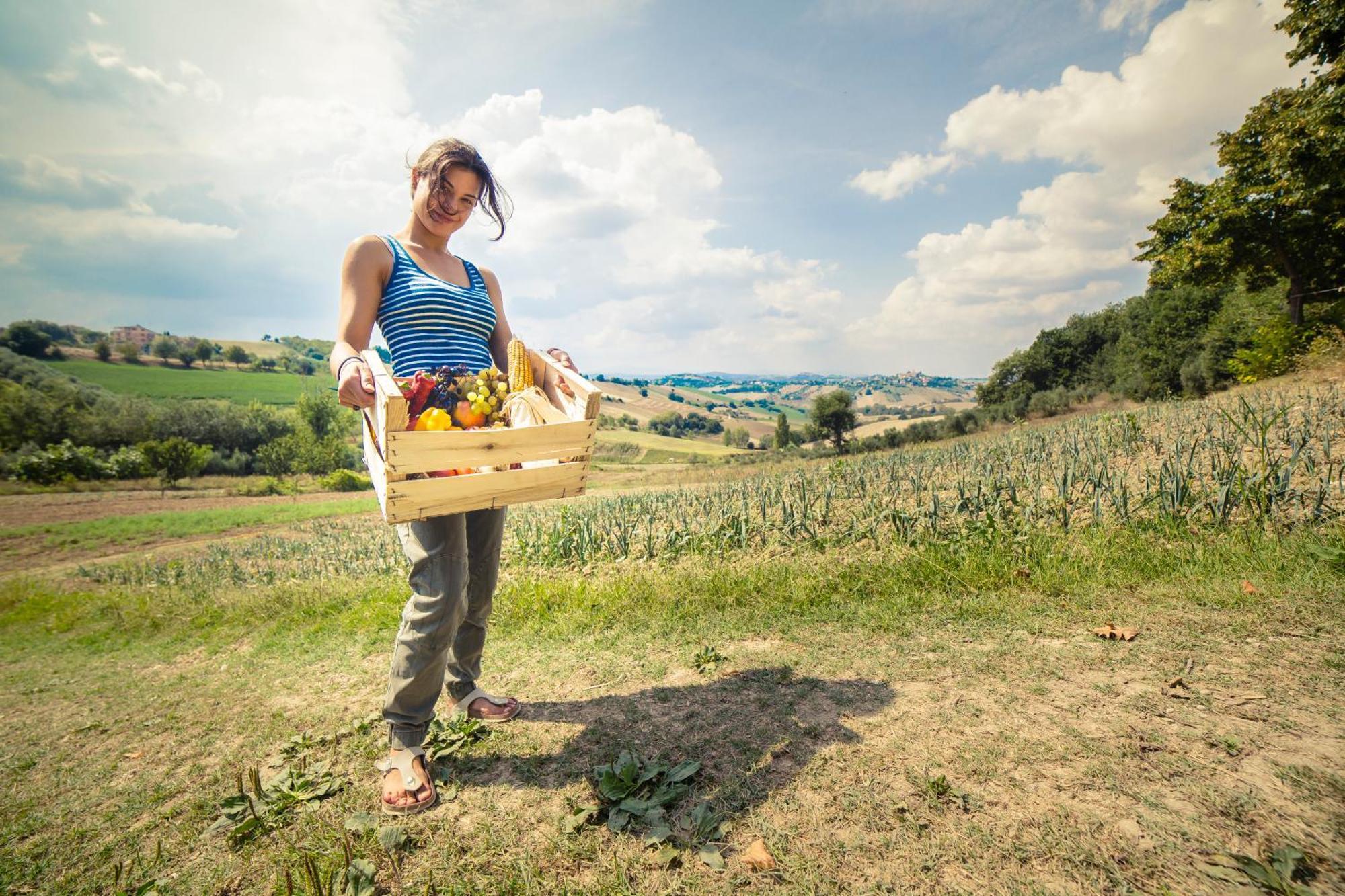 Agriturismo Fonte Carella Monte San Pietrangeli Luaran gambar